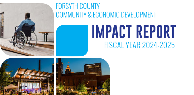 CED Fiscal Year 2025 Impact Report