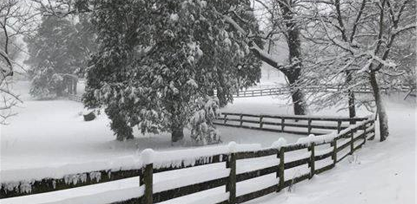 Tanglewood Park reopens Feb. 5, Triad Park reopens Feb 6