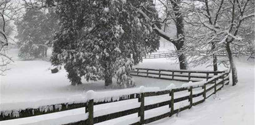 Forsyth County facilities open at 10 a.m. on Feb 2, Central Library and parks are closed