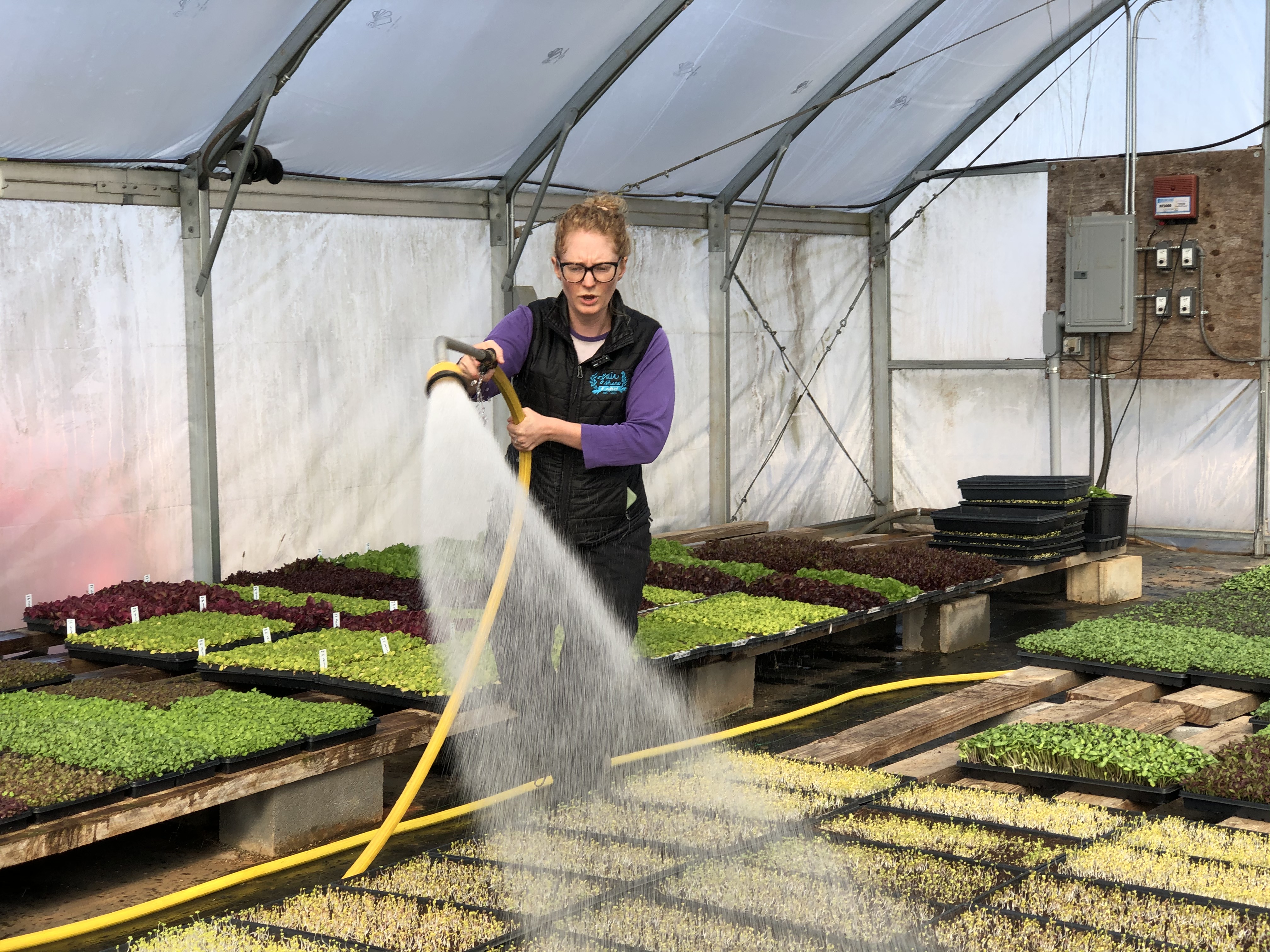 Emma Watering