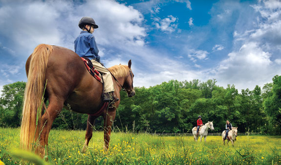 Horseback Riding